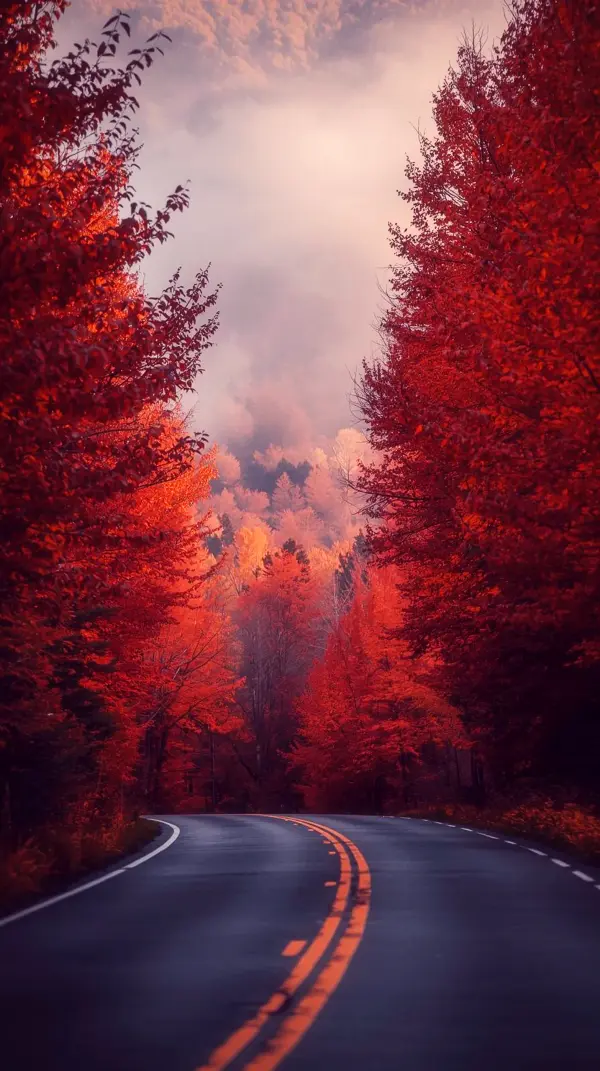 Stunning Autumn Road iPhone Wallpaper 4K - Cute 4K Wallpaper for Mobile, Phone, and iPhone Backgrounds