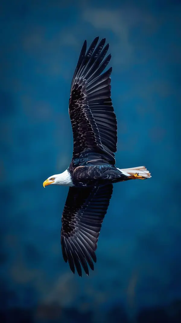 Eagle Wallpaper 4K — Majestic Flight Blue Sky