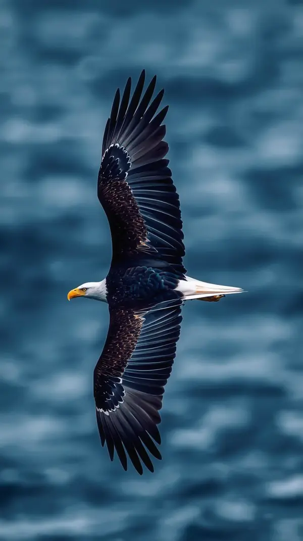 Eagle Wallpaper 4K — Majestic Flight Over Water
