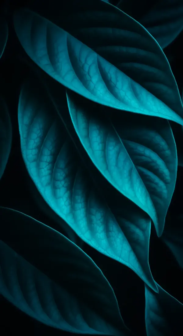 Stunning Teal Leaf iPhone Wallpaper | Flower Phone Background & Flower Phone Wallpaper