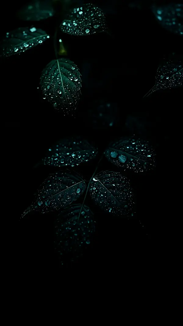 Wallpaper anime nature — dark green wet leaves