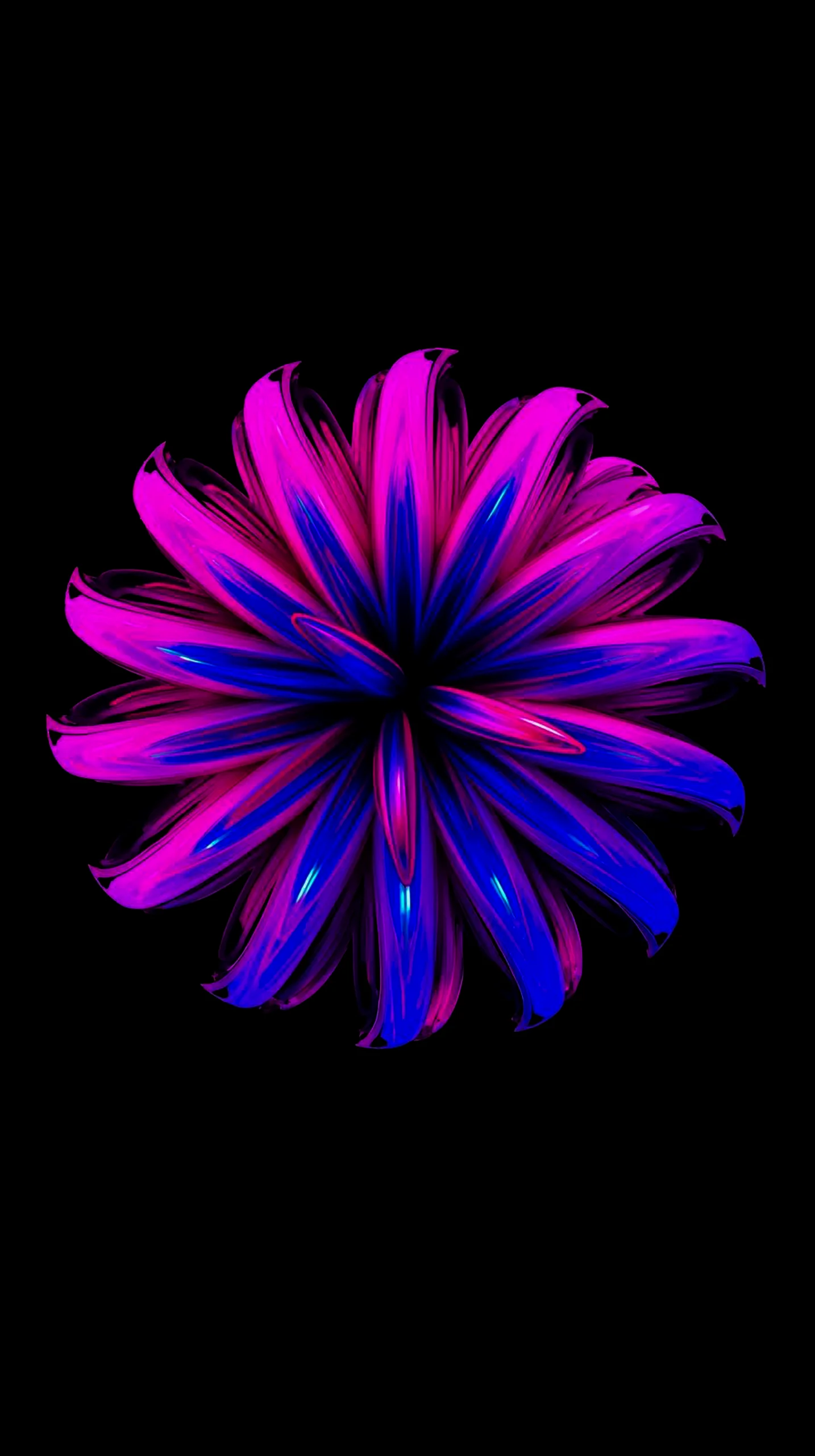 Dark AMOLED Flower Wallpaper 4K Mobile
