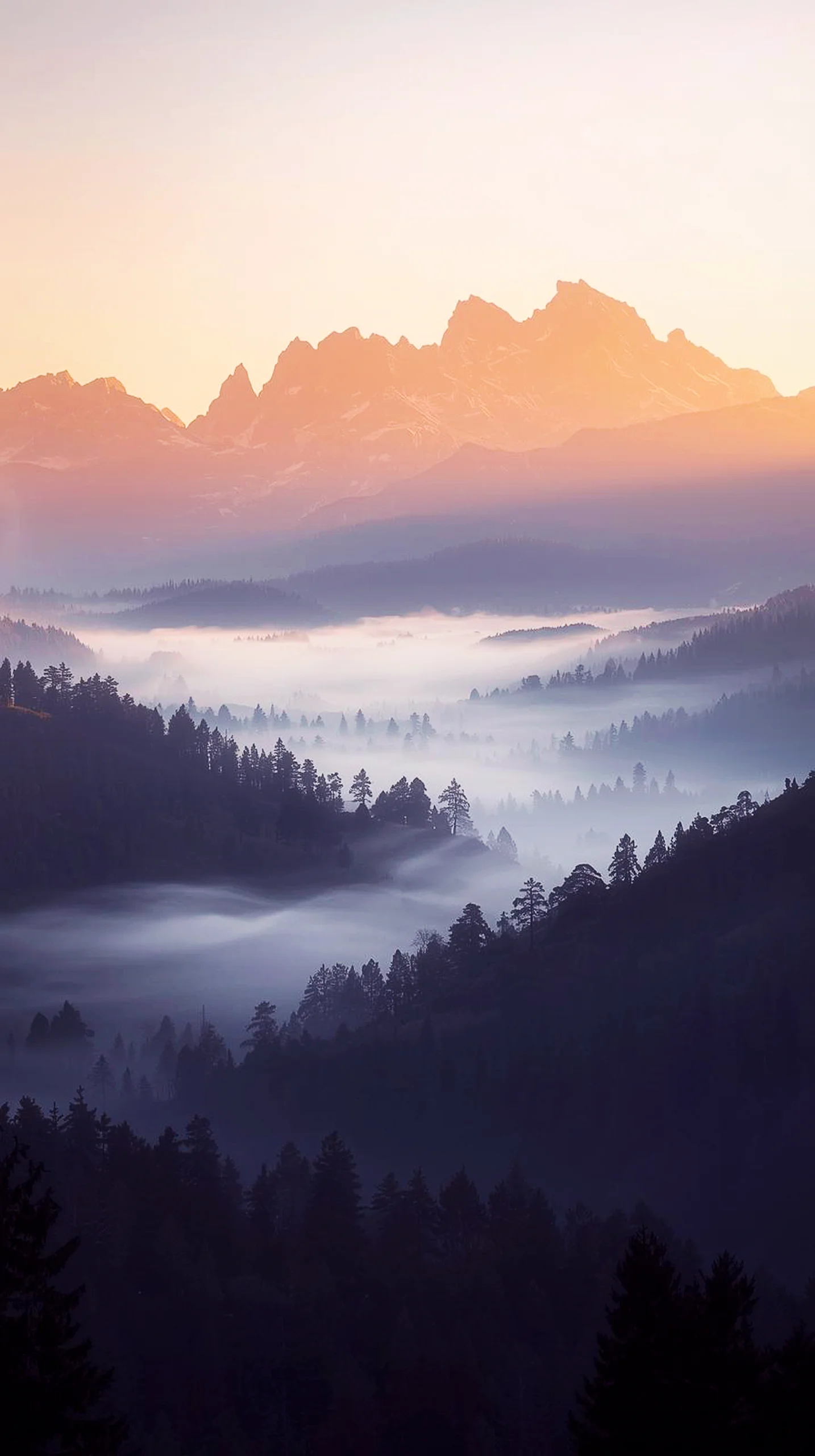 Misty mountain landscape at sunrise, featuring fog-filled valleys and silhouetted trees. 4K iPhone wallpaper, 4K