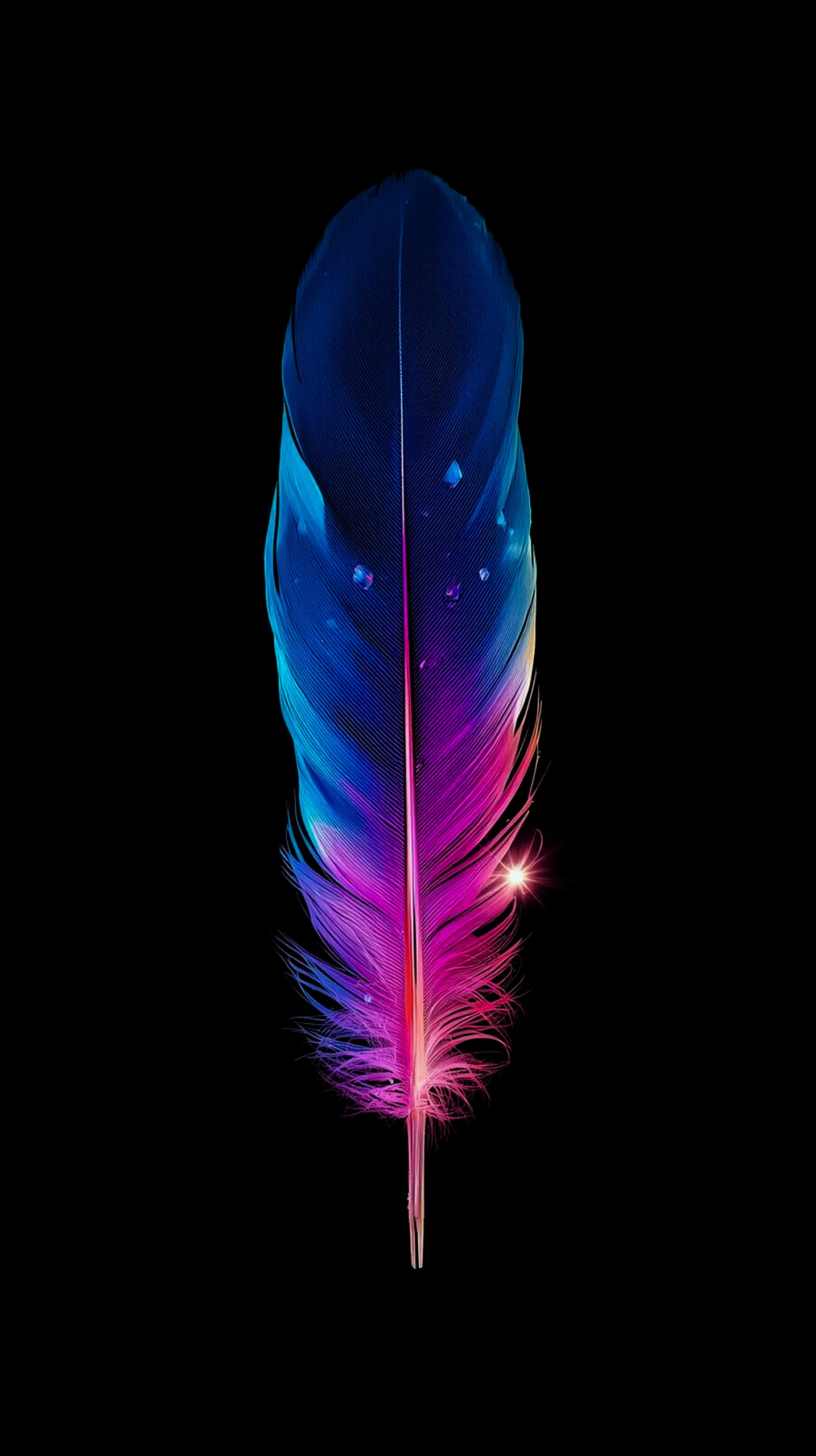 Vibrant feather AMOLED wallpaper 4K for mobile, iPhone wallpaper 4K, 4K wallpaper for mobile, wallpaper for phone, cute