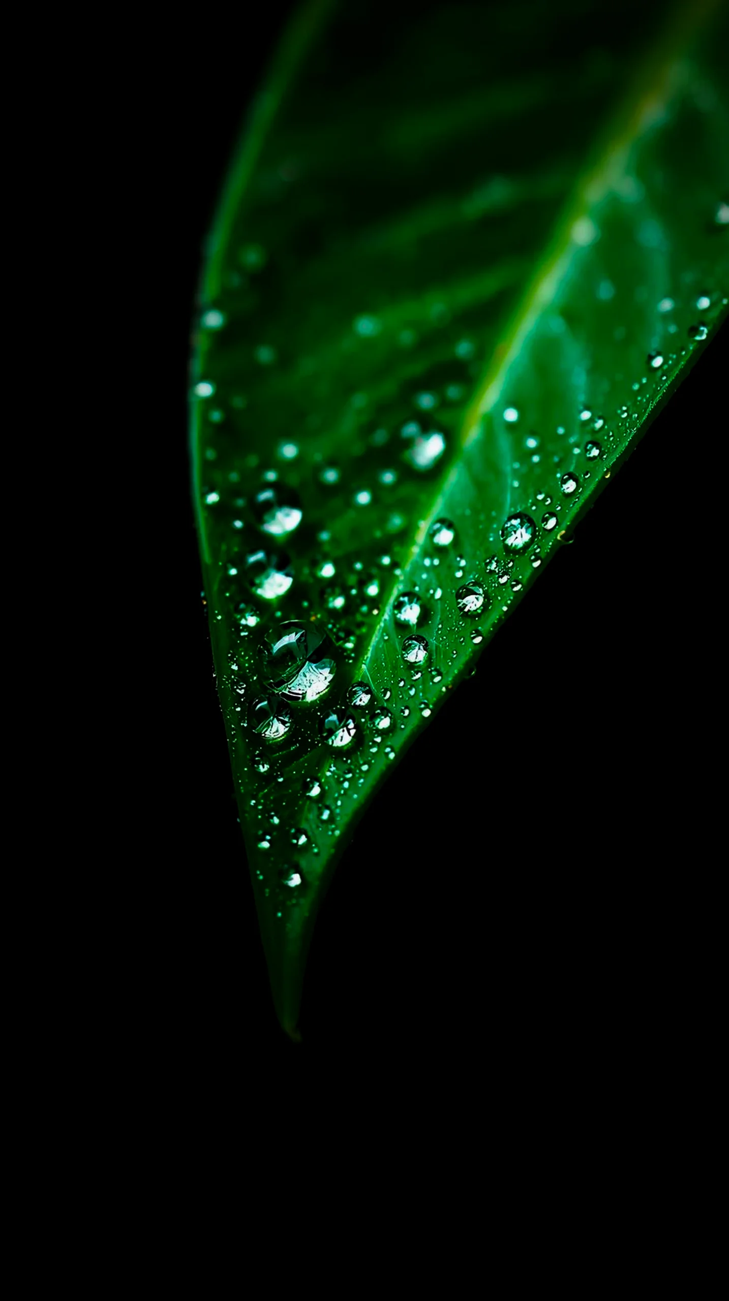 AMOLED wallpaper 4k for mobile, iphone wallpaper 4k, 4k wallpaper for phone, cute 4k wallpaper for iphone backgrounds.
