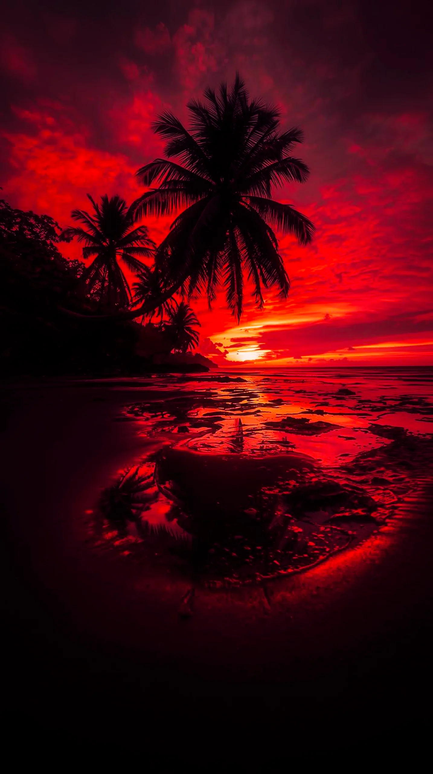 4K iPhone wallpaper of a dramatic red sunset over a tropical beach with palm trees. Perfect 4K wallpaper for mobile and