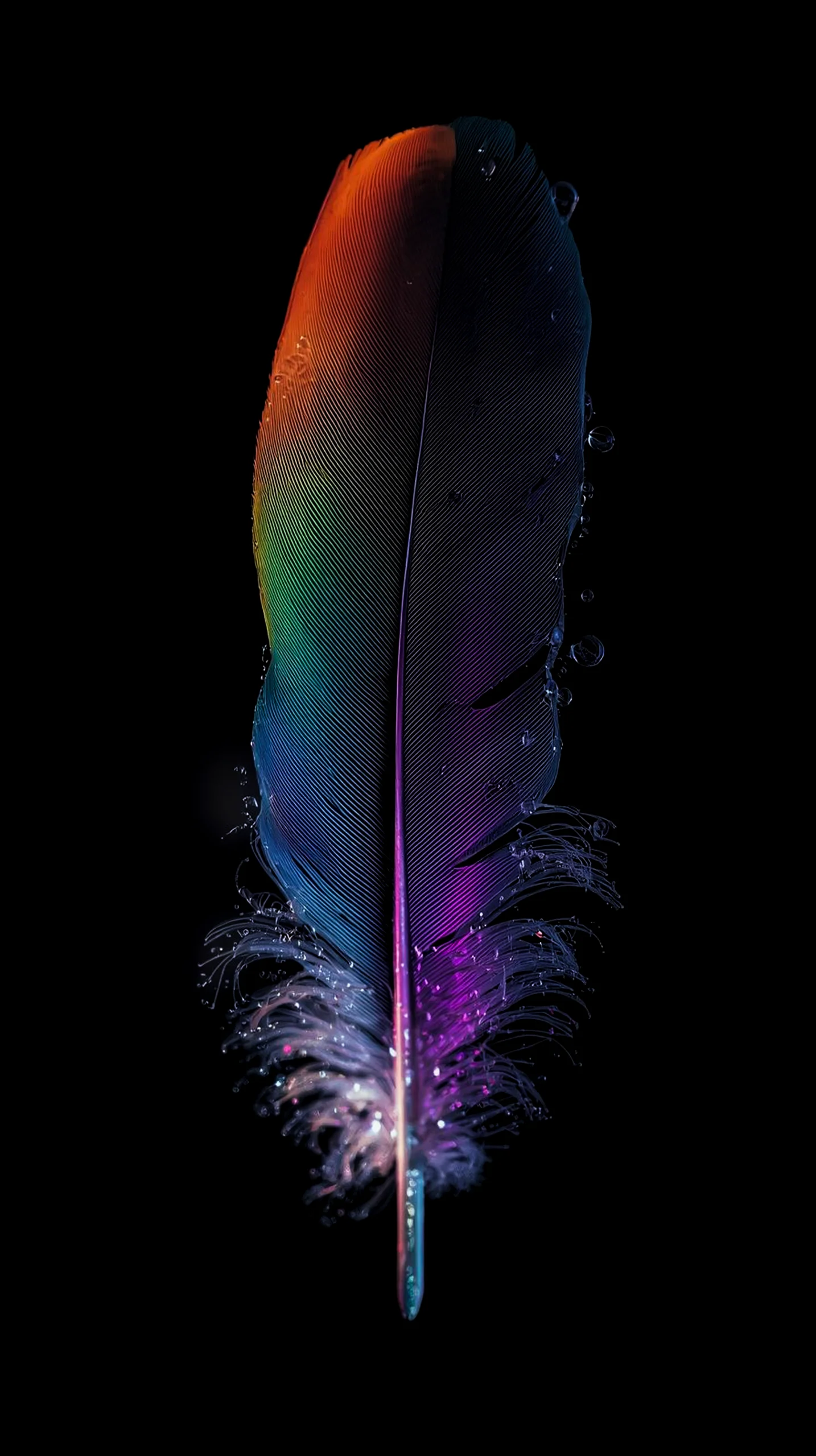 Rainbow feather AMOLED wallpaper 4k for mobile, iPhone wallpaper 4k, 4k wallpaper for phone, cute 4k backgrounds.