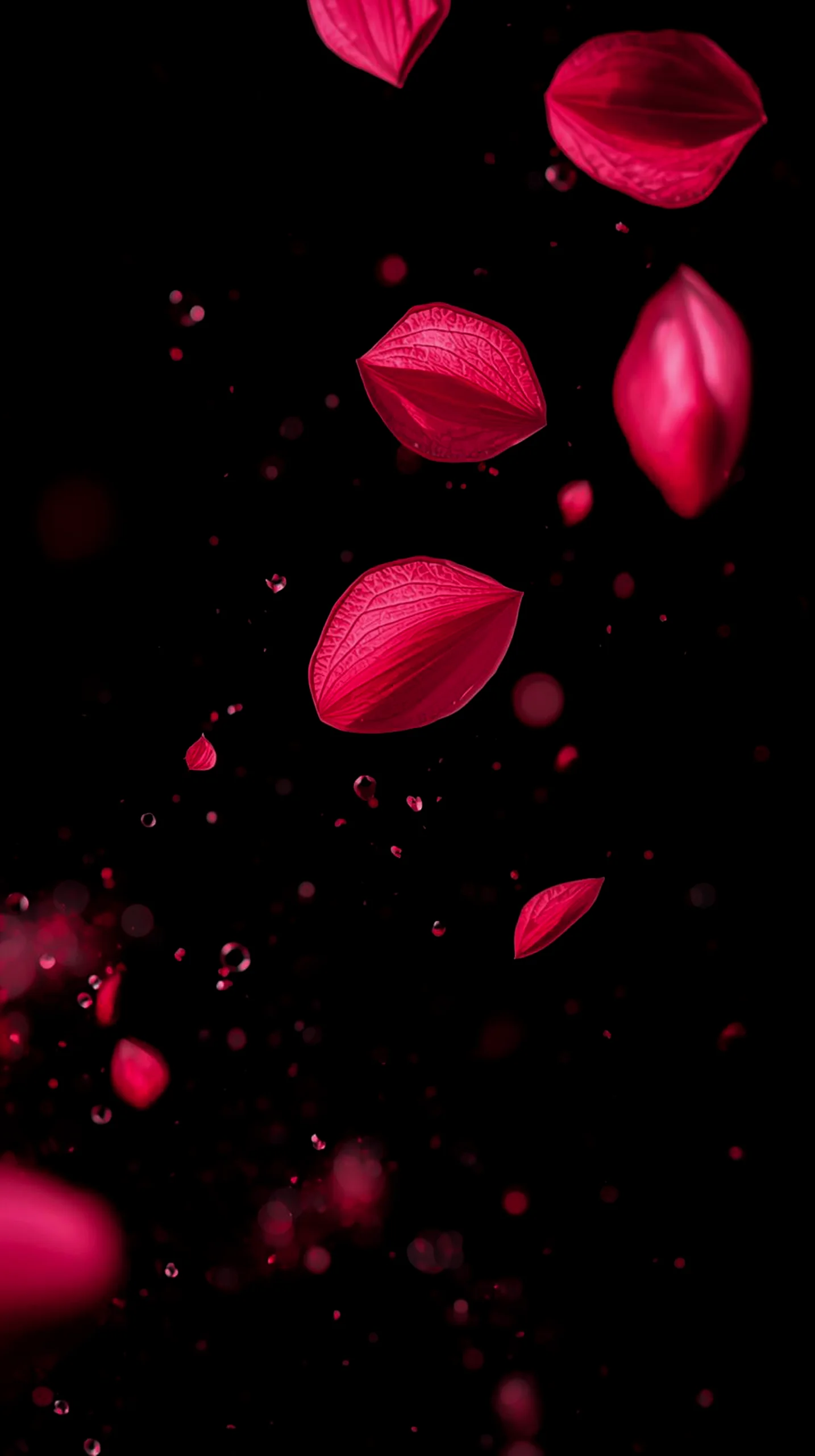 Red petals and water droplets falling on a black background. AMOLED wallpaper 4K for mobile, iPhone wallpaper 4K, 4K