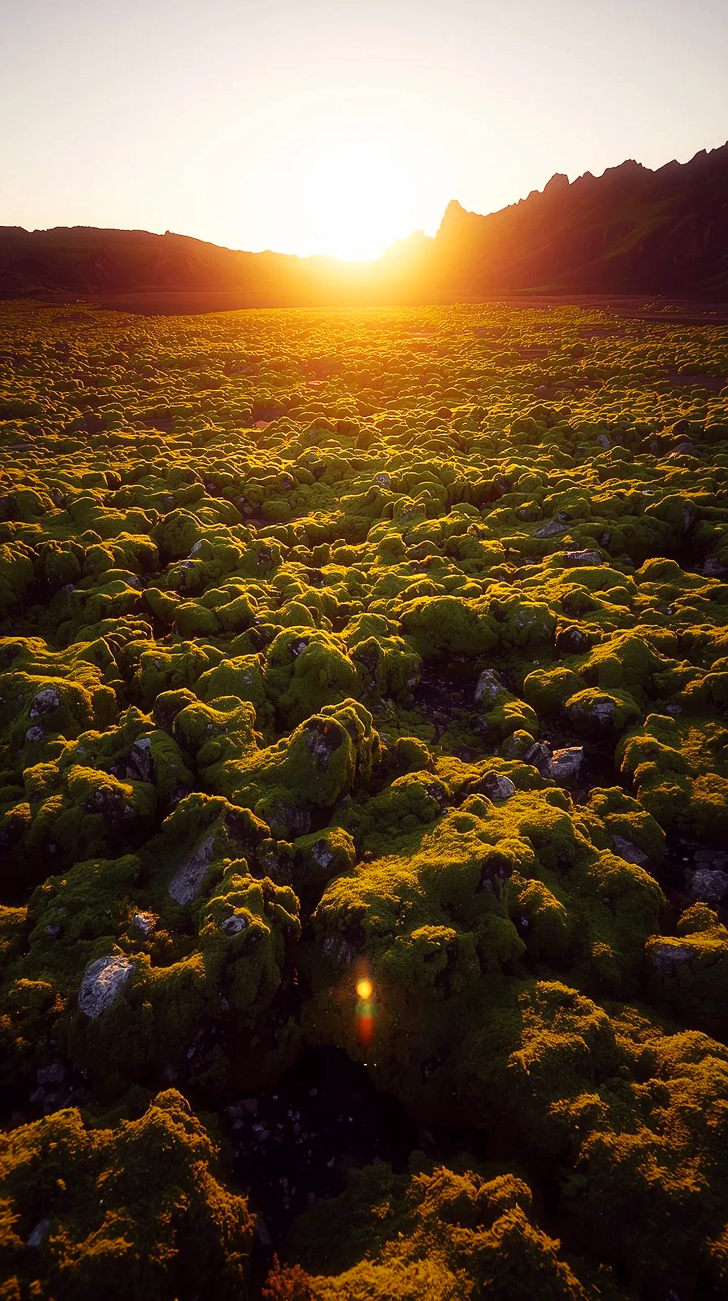 A breathtaking 4K mobile wallpaper showing a mossy field during a golden sunset with distant mountains.