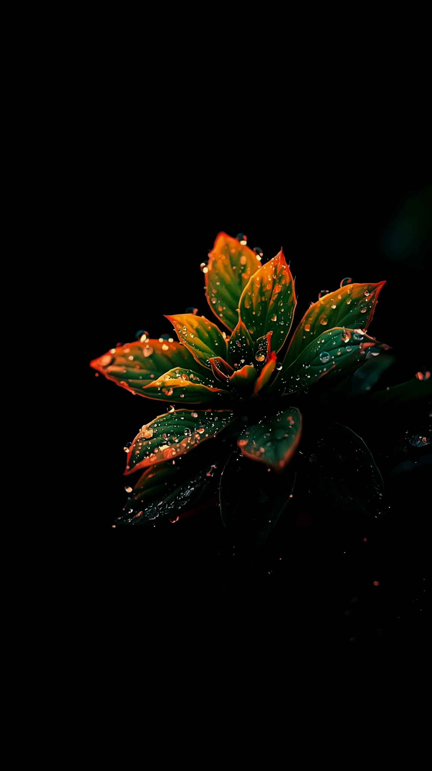 amoled wallpaper 4k for mobile iphone wallpaper 4k 4k wallpaper for mobile wallpaper for phone 4k backgrounds iphone 4k