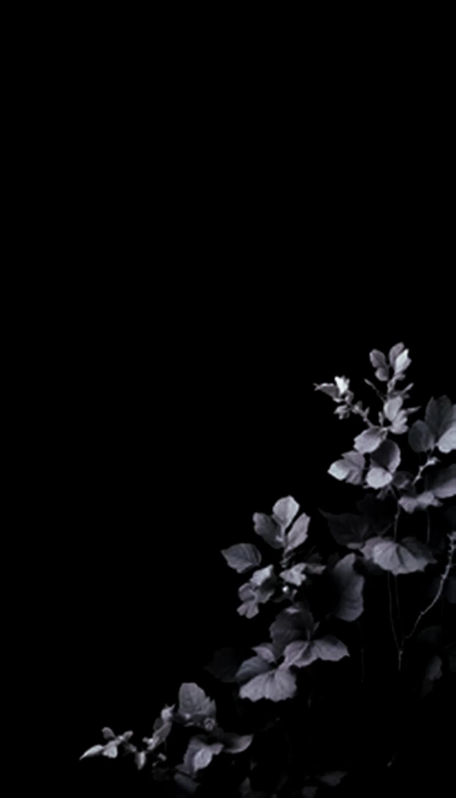 amoled wallpaper 4k for mobile, iphone wallpaper 4k, 4k wallpaper for mobile, cute 4k wallpaper for iphone, background