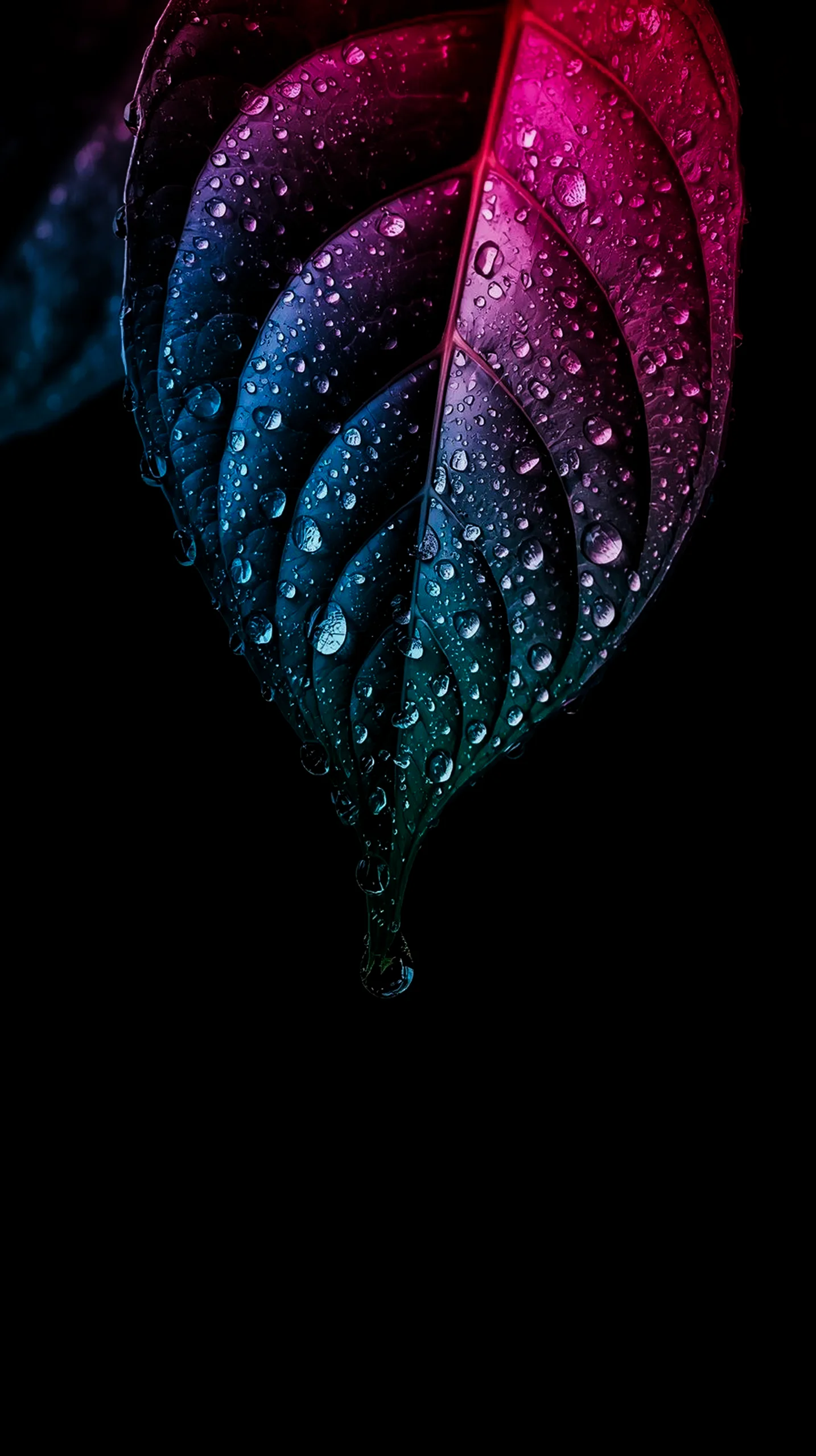 AMOLED wallpaper 4K for mobile, iPhone wallpaper 4K, 4K wallpaper for mobile, wallpaper for phone, cute 4K wallpaper