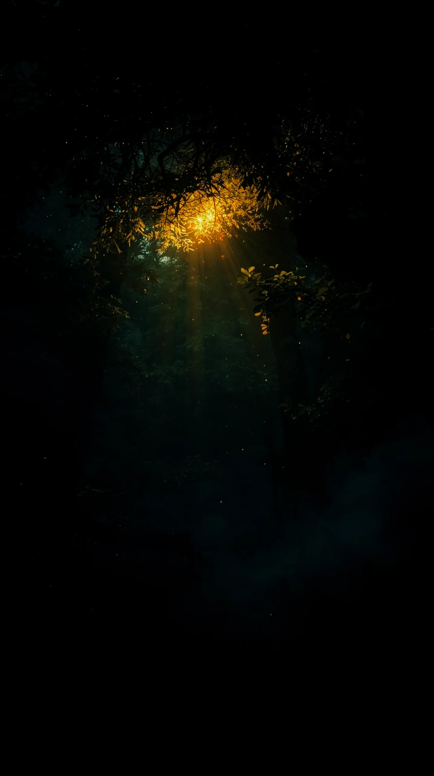 AMOLED wallpaper 4K for mobile, iPhone wallpaper 4K, 4K wallpaper for mobile, wallpaper for phone, cute 4K wallpaper